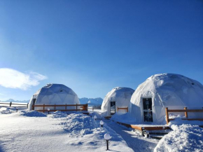 Glamping Pasieka, Leśnica